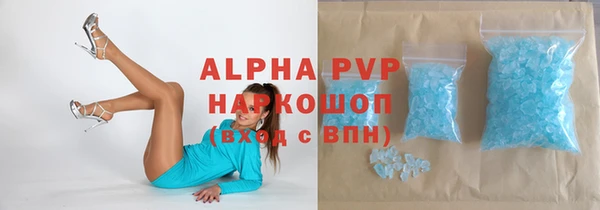 прущие грибы Тайга