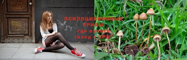 прущая мука Белоозёрский