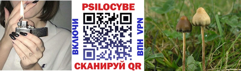 мега ССЫЛКА  Волгореченск  Псилоцибиновые грибы ЛСД 